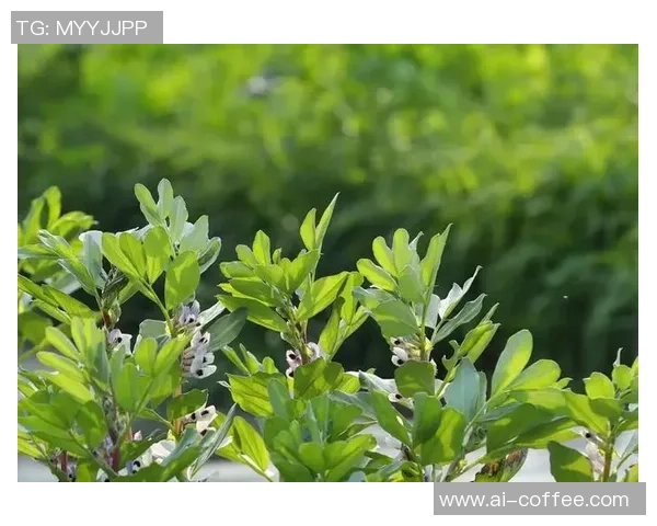 二月前的生活与二月后的变化对比探讨与反思