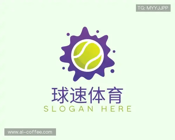 了解球速体育